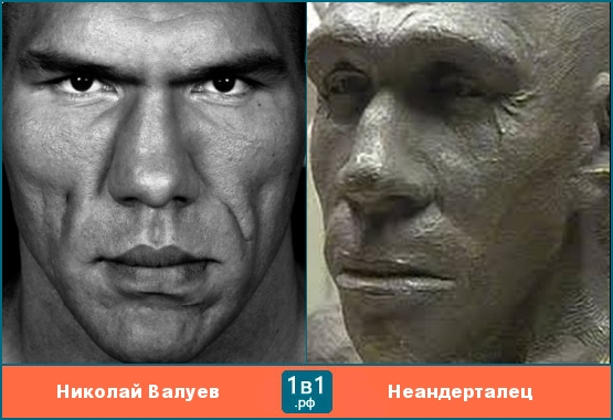 Николай Валуев похож на неандерталеца