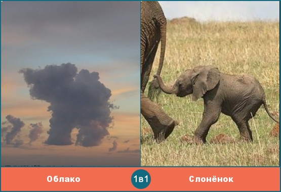 Облако похоже на слонёнка