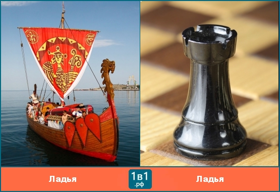 Забавные омонимы - ладья (лодка) и ладья в шахматах